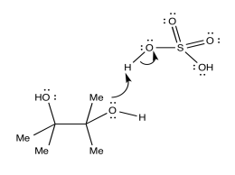 7: Oxidative Phosphorylation