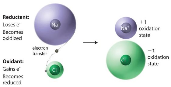 Sodium atom acts as the reductant and chlorine as the oxidant. The result is an oxidation state of positive 1 and negative 1 for sodium and chloride ion respectively.