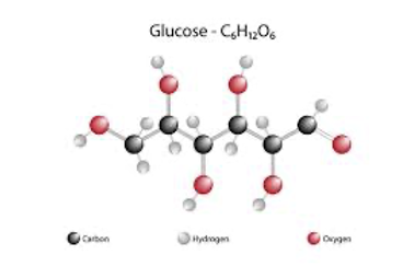 Screen Shot 2022-12-10 at 4.33.30 PM.png