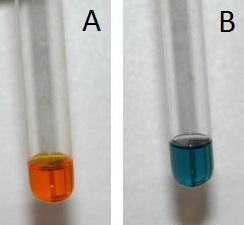 Breathalyzer test results. A: Orange solution in test tube. B: Blue solution in test tube.