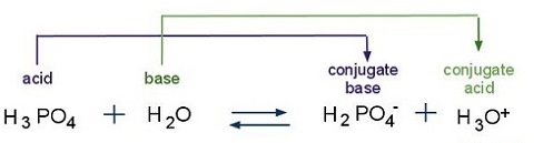 An acid, H3PO4, combines with a base, water, in a reversible reaction forming the acid's conjugate base, H2PO4-, and the base's conjugate acid, a hydronium ion.
