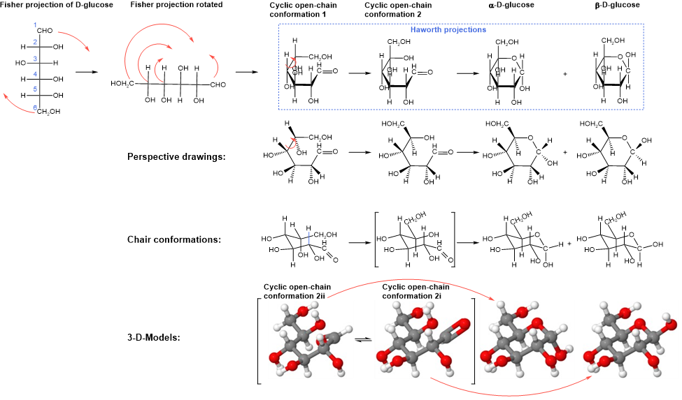 5.3: Cyclic Structures Of Monosaccharides - Chemistry LibreTexts