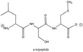 COtripeptide_1yx3.gif