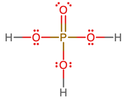 Image D shows a structural diagram of a phosphorus atom that forms a single bond to four oxygen atoms each. Three of the oxygen atoms each have a single bond to a hydrogen atom. 