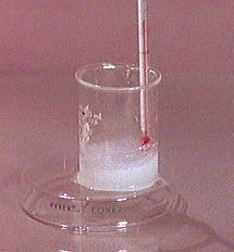 Un vaso de precipitados que contiene una solución blanca tiene un termómetro colocado en él.
