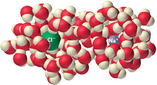 The chlorine ion is separated for the sodium ion by water molecules. 