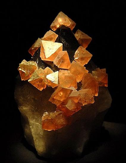 Fluorite_crystals_(Cullen_Hall_of_Gems_and_Minerals).jpg