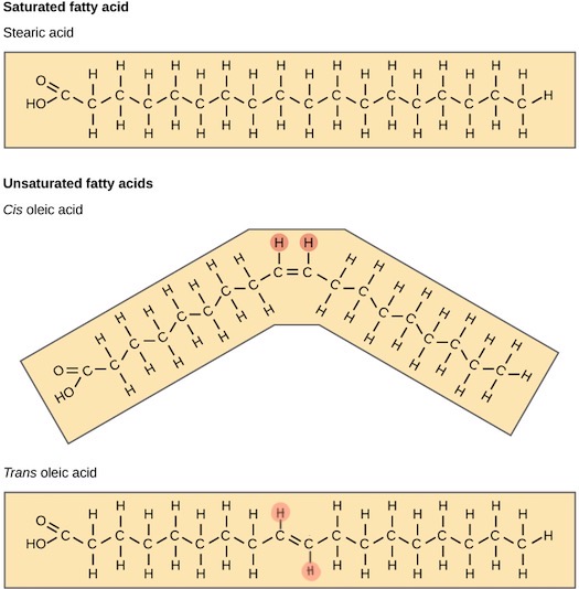 trans fatty acids 1.png