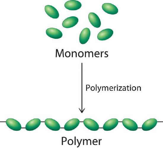 7.1: Polymerization - Making Big Ones Out of Little Ones - Chemistry ...