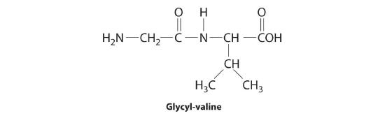 Glycyl-valine