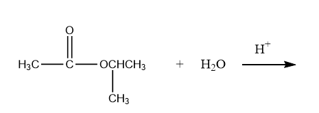 hydrolysis b.png