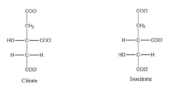 alcohol class 3.png