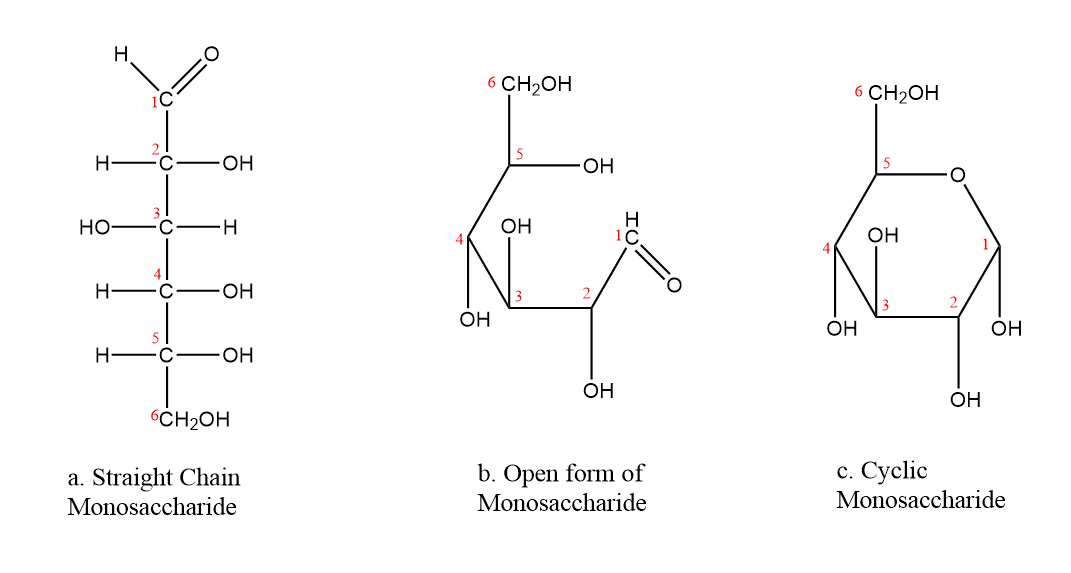 Cyclization of monosacc.png