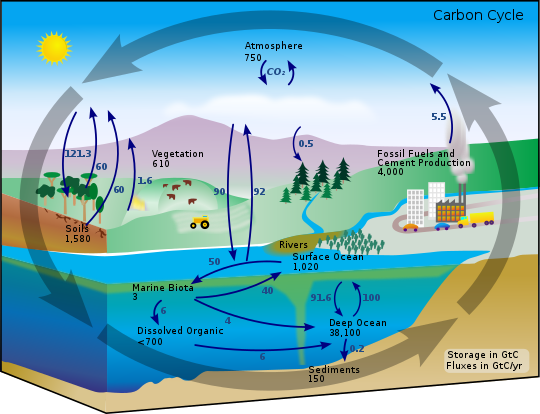 File:Carbon cycle-cute diagram.svg