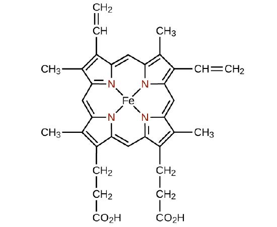 A structure is shown for the single ligand heme. At the center of this structure is an F e atom. From this atom, four single bonds extend up and to the right and left and below and to the right and left to four N atoms which are shown in red. Each N atom is a component of a 5 member ring with four C atoms. Each of these rings has a double bond between the C atoms that are not bonded to the N atom. The C atoms that are bonded to N atoms are connected to C atoms that serve as links between the 5-member rings. The bond to the C atom clockwise from the 5-member ring in each case is a double bond. The bond to the C atom counterclockwise from the 5-member ring in each case is a single bond. To the left of the structure, two of the C atoms in the 5-member rings that are not bonded to N are bonded to C H subscript 3 groups. The other carbons in these rings that are not bonded to N atoms are bonded to groups above and below. Above is a C H group double bonded to a C H subscript 2 group. Below is a C H subscript 2 group bonded to another C H subscript 2 group, which is bonded to a C O subscript 2 H group. At the right side of the structure, the C atoms in the 5-member rings that are not bonded to N atoms are bonded to additional structures. The C atom at to the right in the 5-member ring at the upper right is bonded to a C H group which is in turn double bonded to a C H subscript 2 group. Similarly, the right most C atom from the 5-member ring in the lower right is bonded to a C H subscript 3 group. The C atom from the 5-member ring not bonded to an N atom in the upper right region of the structure is bonded to a C H subscript 3 group above. Similarly, the C atom on the 5-member ring not bonded to an N atom in the lower right region of the structure is bonded to a C H subscript 2 group that is bonded to another C H subscript 2 group, which is bonded to a C O subscript 2 H group below.