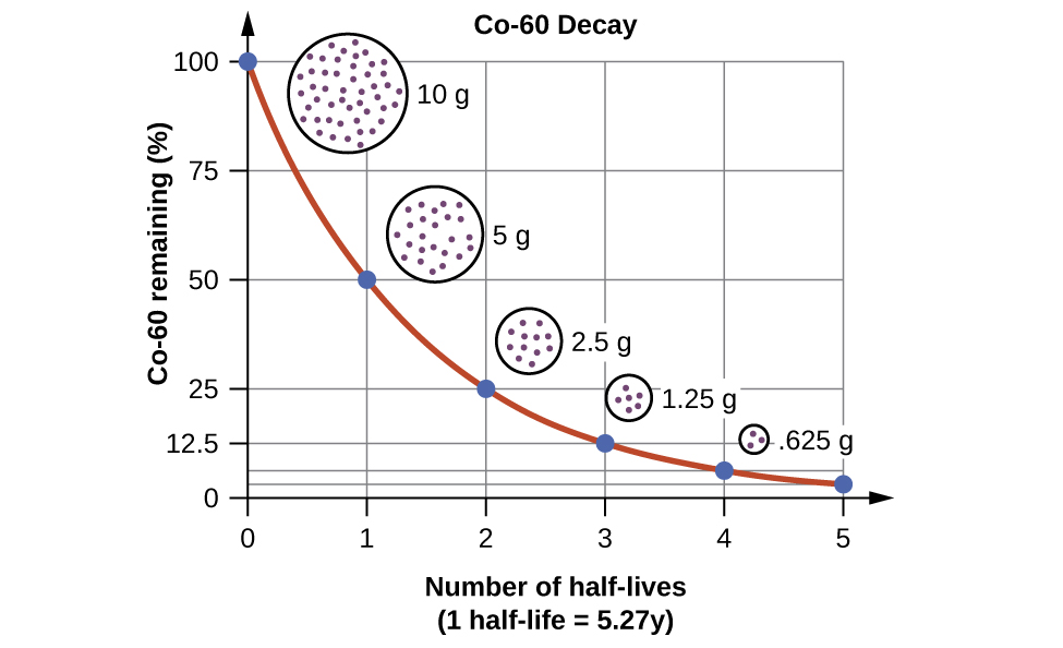 یک نمودار با عنوان &laquo;C o dash 60 Decay&raquo; نشان داده شده است که در آن محور x با برچسب &laquo;C o dash 60 باقیمانده، پرانتز باز، علامت درصد، پرانتز بسته&raquo; و دارای مقادیر 0 تا 100 با افزایش 25 است. محور y با عنوان &laquo;تعداد زندگی نیمه خط&raquo; برچسب گذاری شده است و دارای مقادیر 0 تا 5 با افزایش 1 است. نقطه اول، در &laquo;0، 100&raquo; دارای یک دایره پر از نقاط کوچک است که در نزدیکی آن با برچسب &laquo;10 g&raquo; کشیده شده است. نقطه دوم، در &laquo;۱، ۵۰&raquo; دارای یک دایره کوچکتر است که با نقاط کوچکی که در نزدیکی آن با برچسب &laquo;۵ گرم&raquo; کشیده شده است، پر شده است. نقطه سوم، در &laquo;۲، ۲۵&raquo; یک دایره کوچک پر از نقاط کوچک دارد که در نزدیکی آن با برچسب &laquo;۲٫۵ گرم&raquo; کشیده شده است. نقطه چهارم، در &laquo;3، 12.5&raquo; یک دایره بسیار کوچک پر از نقاط کوچک دارد که در نزدیکی آن با برچسب &laquo;1.25 g&raquo; کشیده شده است. آخرین نقطه، در &laquo;4،6.35&raquo; دارای یک دایره کوچک پر از نقاط کوچک است که در نزدیکی آن برچسب گذاری شده است.