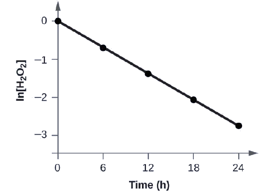 A graph is shown with the label “Time ( h )” on the x-axis and “l n [ H subscript 2 O subscript 2 ]” on the y-axis. The x-axis shows markings at 6, 12, 18, and 24 hours. The vertical axis shows markings at negative 3, negative 2, negative 1, and 0. A decreasing linear trend line is drawn through five points represented at the coordinates (0, 0), (6, negative 0.693), (12, negative 1.386), (18, negative 2.079), and (24, negative 2.772).