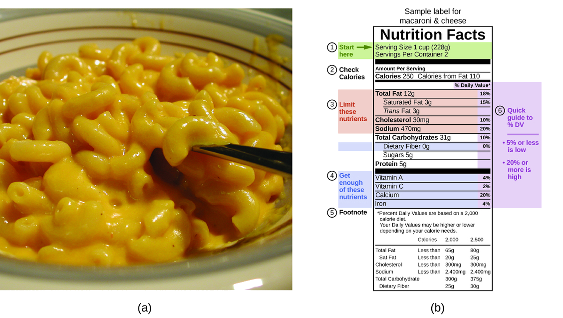Two pictures are shown and labeled a and b. Picture a shows a close-up of a bowl of macaroni and cheese. Picture b is a food label that contains highlighted information in a table format. The top of the label reads “Sample label for macaroni and cheese.” Below this are the words “Nutrition facts.” Below this are two lines of highlighted text that read “Serving size one cup (228 g)” and “Servings per container 2.” A label to the left of these lines reads “Start here” and a right-facing arrow is beside these words. Below this are the words “check calories” which lie to the left of the phrases “Amount per serving” which is above the words “Calories 250” and “Calories from fat 210.” The next segment of the label is highlighted and contains five phrases “Total fat 12 g,” “Saturated fat 3 g,” “Trans fat 3 g,” “Cholesterol 30 m g,” and “Sodium 470 m g.” The phrase “Limit these nutrients” lies to the left of these five phrases. The phrase below these is “Total carbohydrates 31 g” and is followed by a highlighted phrase, “Dietary fiber 0 g.” Below this are the phrases “Sugars 5 g” and “Proteins 5 g.” Below this is a highlighted portion containing the phrases “Vitamin A,” “Vitamin C,” “Calcium,” and “Iron.” A label to the left of these terms states “Get enough of these nutrients.” The bottom of the label is labeled “Footnote” and reads “Percent daily values are based on a 2,000 calorie diet. Your daily values may be higher or lower depending on your calorie needs.” Each of the highlighted terms in the table are in line with a percentage value to the right of the table. A note on the outer right of the table states “Quick guide to % DV”, “5% or less is low” and “20% or more is high. The daily value for total fat is 18%, for saturated fat is 15%, for cholesterol is 10%, for sodium is 20%, for total carbohydrates is 10%, for dietary fiber is 0%, for vitamin A is 4%, for vitamin C is 2%, for calcium is 20%, and for iron is 4%.” At the very bottom is a table that indicates calories at 2,000 and 2,500. For total fat the table indicates less than 65 g for 2,000 calories and 80 g from 2,500 calories. For saturated fat the table indicates less than 20 g for 2,000 calories and 25 g for 2,500 calories. For cholesterol the table indicates less than 300 m g for 2,000 calories and 300 m g for 2,500 calories. For sodium the table indicates less than 2,400 m g for 2,000 calories and 2,400 m g for 2,500 calories. For total carbohydrate the table indicates 300 g for 2,000 calories and 375 g for 2,500 calories. For dietary fiber the table indicates 25 g for 2,000 calories and 30 g for 2,500 calories.