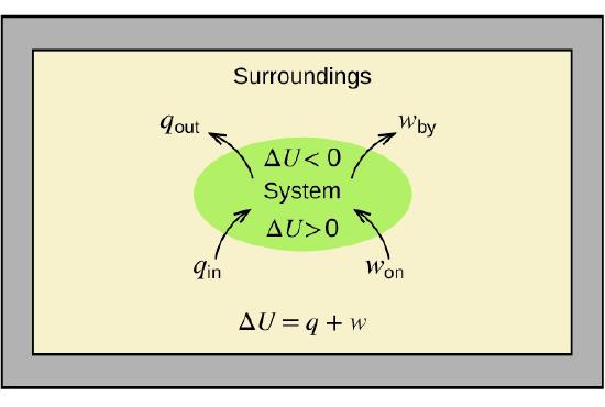 A rectangular diagram is shown. A green oval lies in the center of a tan field inside of a gray box. The tan field is labeled “Surroundings” and the equation “Δ U = q + w” is written at the bottom of the diagram. Two arrows face into the green oval and are labeled “q subscript in” and “w subscript on” while two more arrows face away from the oval and are labeled “q subscript out” and “w subscript by.” The center of the oval contains the terms “Δ U 