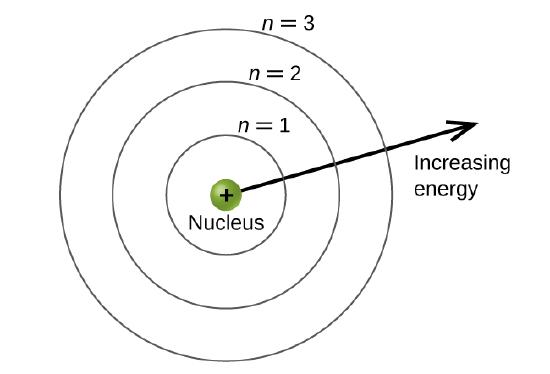 This figure contains a central green sphere labeled “nucleus.” There is a plus sign in the middle of the sphere. This sphere is encircled by 3 concentric, evenly spaced rings. The first and closest to the center is labeled, “n equals 1.” The second ring is labeled, “n equals 2,” and the third ring is labeled, “n equals 3.” An arrow is drawn from the edge of the central sphere to the right extending out of the concentric rings. It is labeled, “increasing energy.”