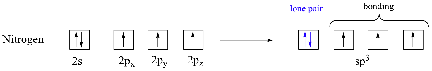 1 10 Hybridization Of Nitrogen Oxygen Phosphorus And Sulfur 1-10-hybridization-of-nitrogen-oxygen-phosphorus-and-sulfur