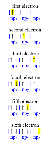 Hund's Rule filling degenerate p-orbitals one electron at a time