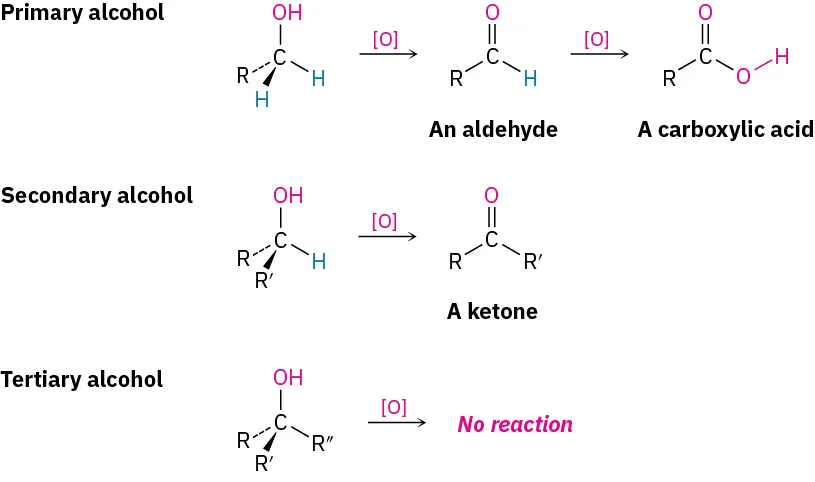 Primary alcohol oxidizes to an aldehyde that can be further oxidized to a carboxylic acid. A secondary alcohol oxidizes to form a ketone. A tertiary alcohol does not undergo oxidation.