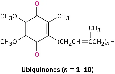 The structure of ubiquinones. One substituent has a repeating unit that occurs 1 to 10 times (n equals 1 to 10).