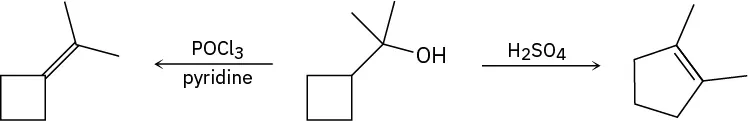  propan-2-ylidenecyclobutane=