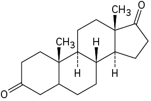 Cyclopentanone fused to cyclohexane with wedged methyl, dashed hydrogen. This is connected to cyclohexane with wedged hydrogen and methyl, dashed hydrogen. This is bonded to cyclohexanone.