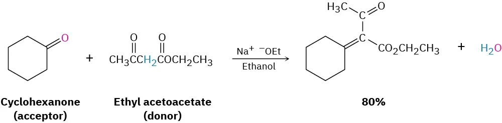 The reaction of cyclohexanone and ethyl acetoacetate with sodium ethoxide in ethanol forms ethyl-2-cyclohexylidene-3-oxobutanoate (eighty percent yield) and water.