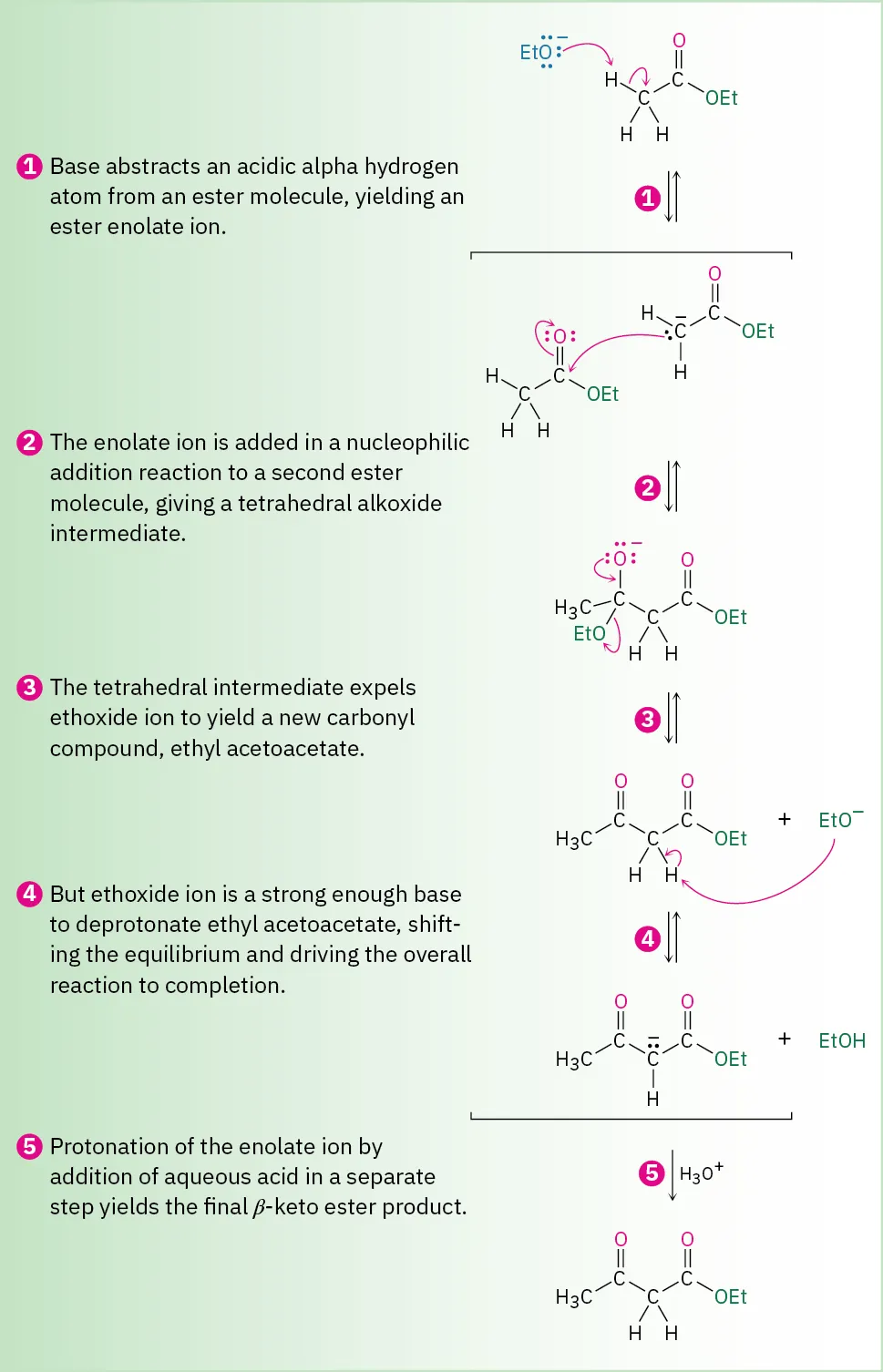 Reversible mechanism of Claisen condensation of ethyl acetate with arrows showing electron flow: alpha proton abstraction, nucleophilic addition of enolate, ethoxide expelled, deprotonation between carbonyls, reprotonation to form ethyl acetoacetate.