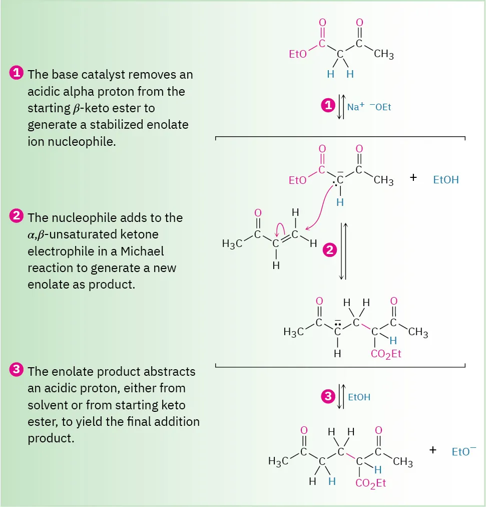An arrow-pushing mechanism of the Michael reaction of ethyl-3-oxobutanoate involving three steps. These are proton abstraction, formation of an enolate, and product formation.