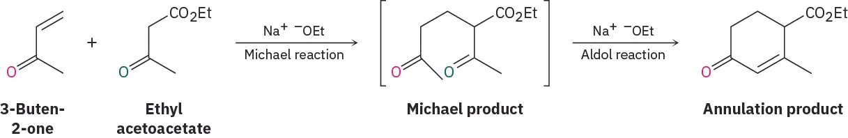 The Michael addition of 3-buten-2-one and ethyl acetoacetate in the presence of sodium ethoxide forming Michael product (intermediate). Further aldol reaction, in presence of sodium ethoxide, yields ethyl-2-methyl-4-oxocyclohex-2-enecarboxylate (annulation product).