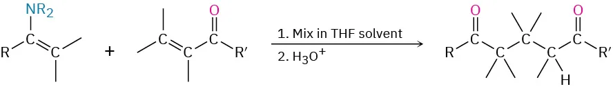 An enamine reacts with alpha, beta-unsaturated carbonyl compound in T H F solvent followed by acid hydrolysis, yielding a dicarbonyl product, forming a new carbon-carbon bond.