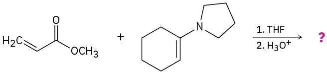 Methyl acrylate reacts with cyclohexene linked by C 1 to a nitrogen incorporated in a five-membered ring in the presence of tetrahydrofuran, then hydronium ion to form an unknown product.