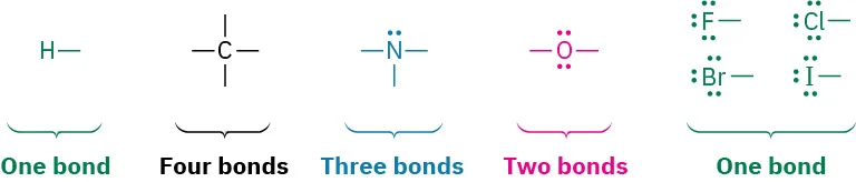 The bond count of various elements. Hydrogen, fluorine, chlorine, bromine, and iodine have one bond but oxygen, nitrogen, and carbon have two, three, and four bonds, respectively.
