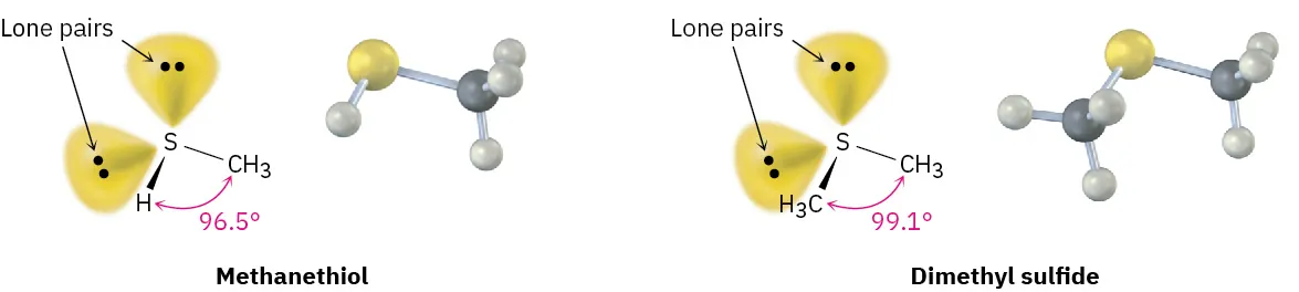 The chemical structures and ball and stick models of methanethiol and dimethyl sulfide (two lone pairs per sulfur). The bond angles around sulfur are 96.5 and 99.1 degrees respectively.