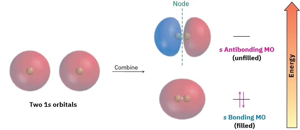 The formation of antibonding (with node) and bonding molecular orbitals from two 1s orbitals. The antibonding M O is unfilled and the bonding M O has a pair of electrons.