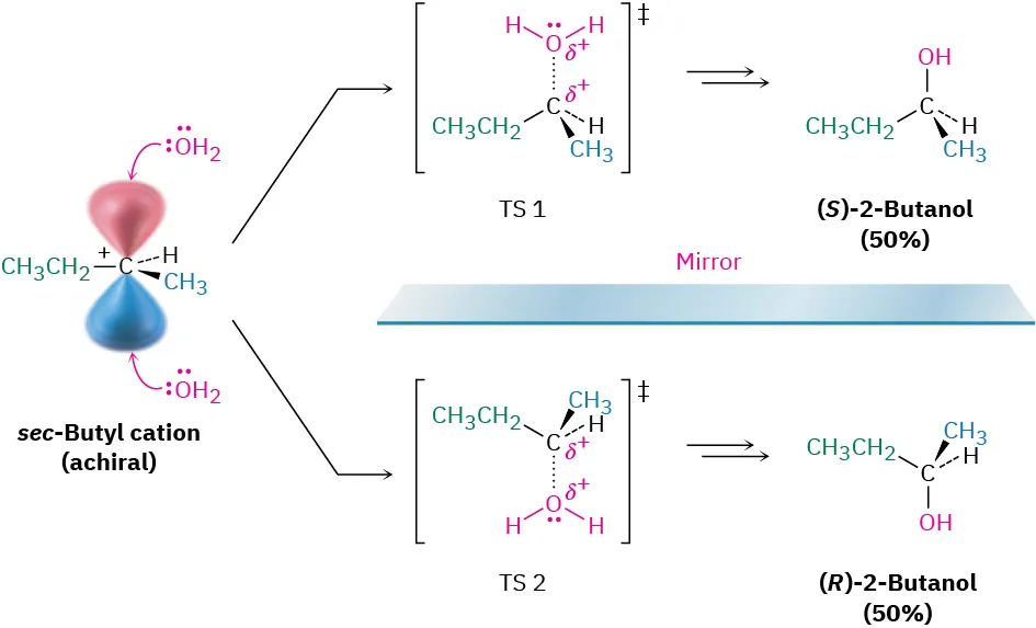 A 2-pathway reaction shows sec-butyl cation (achiral) reacting with water to form (S)-2-butanol and (R)-2-butanol each with 50 percent yield via transition state 1 and transition state 2, respectively.