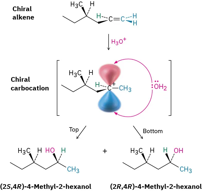 Chiral alkene on reaction with hydronium ion forms a chiral carbocation, which further forms (2 S, 4 R)-4-methyl-2-hexanol and (2 R, 4 R)-4-methyl-2-hexanol.