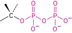 The general structure of diphosphate.