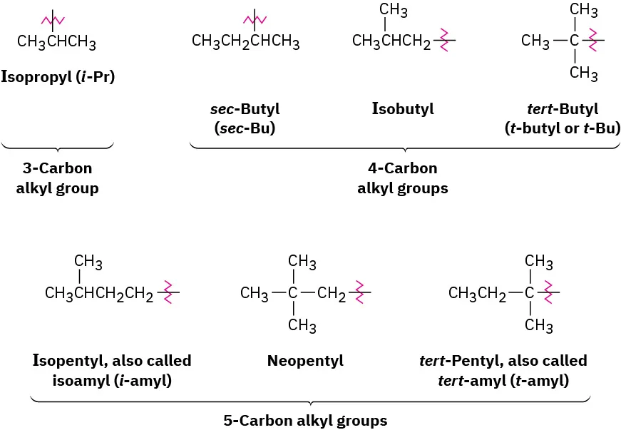 3.5: Naming Alkanes - Chemistry LibreTexts