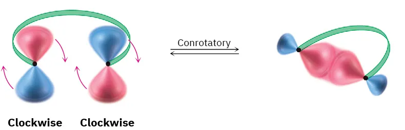 An orbital diagram with arrows to show conrotatory (clockwise and clockwise) movement of two p-orbitals with opposite-sign lobes pointed upward. This allows same-sign lobes to merge.