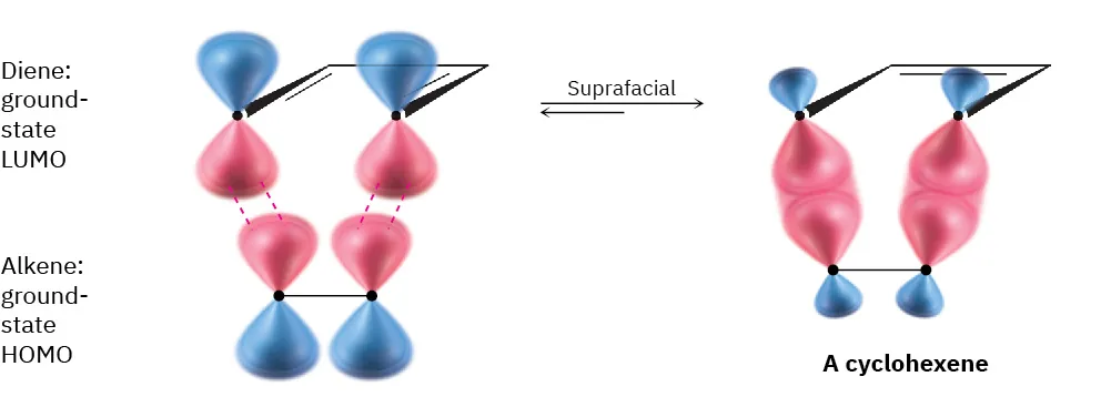 The orbital structures of diene LUMO with alkene HOMO through suprafacial addition form cyclohexene. Addition is suprafacial because lobe signs match.
