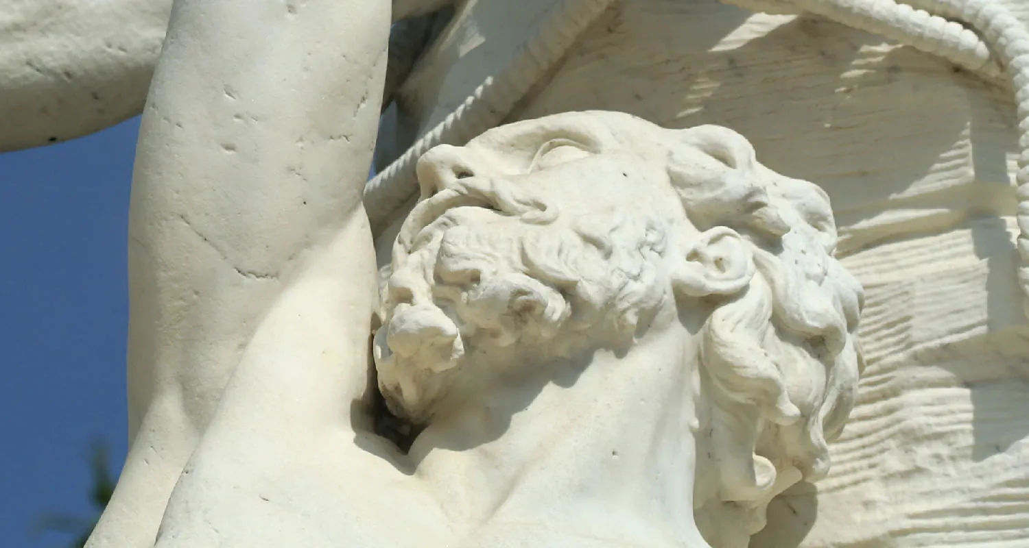A close-up photograph of the face and upper arm of a marble statue depicting a man with a beard.