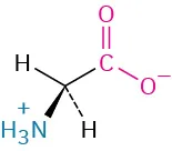 The structure of glycine. It has a carbon linked to hydrogen, carboxylate ion, dashed hydrogen, and wedged ammonia ion.