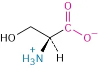 The structure of L-serine. It has a carbon linked to methylene connected to an alcohol, carboxylate ion, dashed hydrogen, and wedged ammonia ion.
