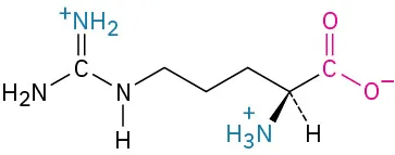 The structure of L-arginine comprises carbon linked to three methylene to N-H, carbon linked to an amine, and an alkene bonded to amine cation, carboxylate, dashed hydrogen, and wedged ammonia.