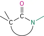 The structure of lactam, a cyclic amide, in which the alkyl group from one side of the carbonyl is bonded through a cyclic structure to the nitrogen on the other side.